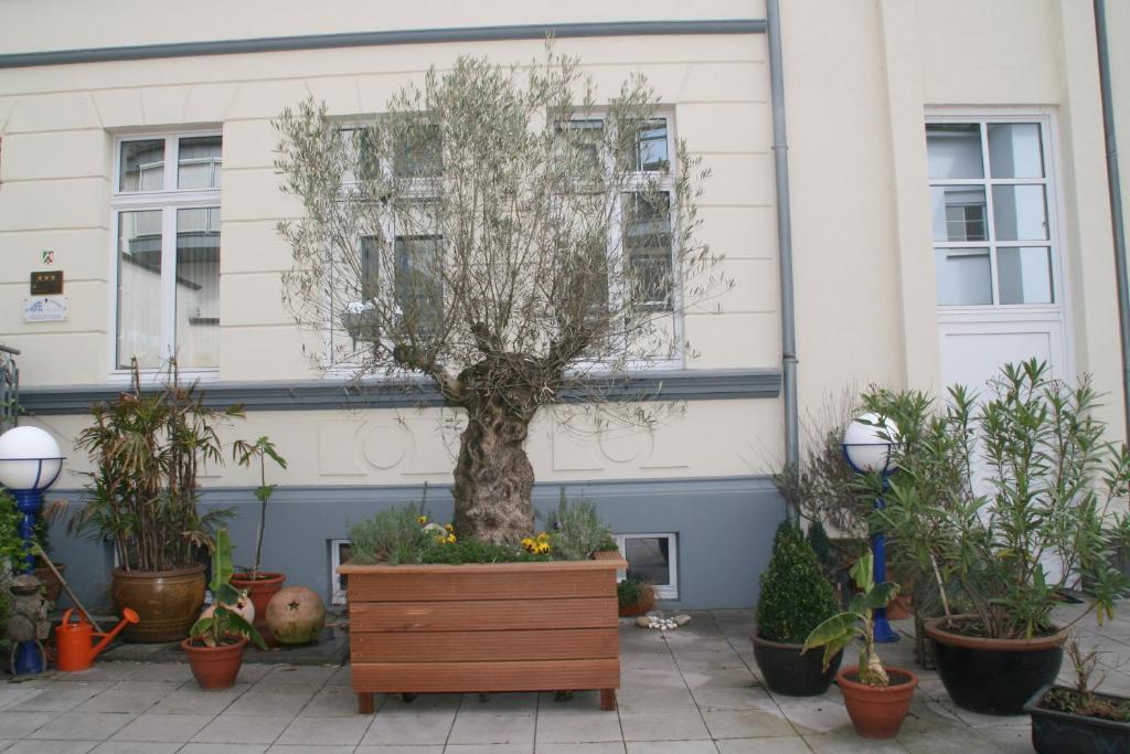Hotel Am Kastell Goch Εξωτερικό φωτογραφία